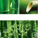 Applique murale rotin osier